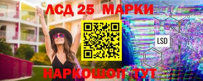 шишки Моздок