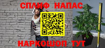 шишки Моздок