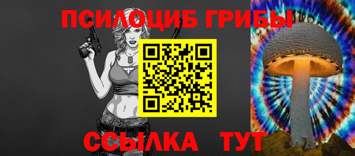 Псилоцибиновые грибы мицелий Петропавловск-Камчатский