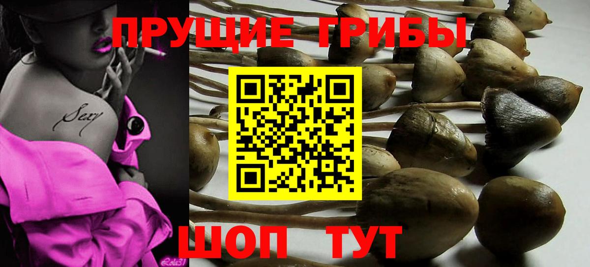 Псилоцибиновые грибы ЛСД  Вход с VPN  Петропавловск-Камчатский 